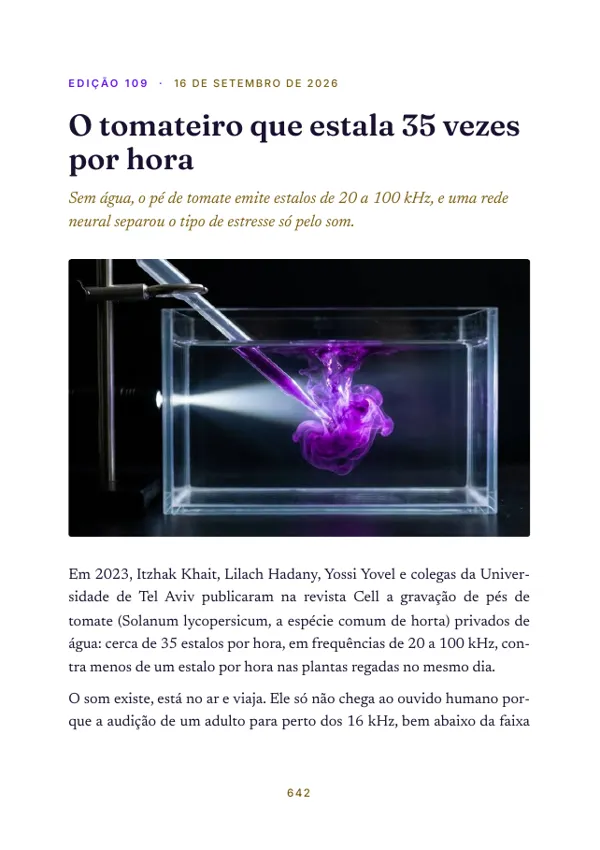 Página 642 do volume: abertura da edição 109, O tomateiro que estala 35 vezes por hora