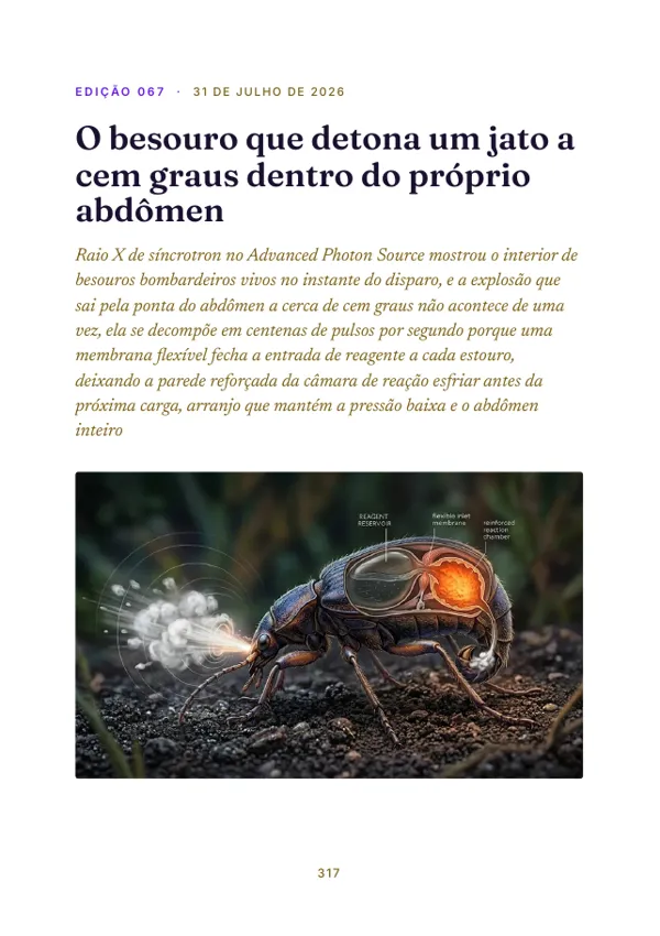 Página 317 do volume: abertura da edição 067, O besouro que detona um jato a cem graus dentro do próprio abdômen